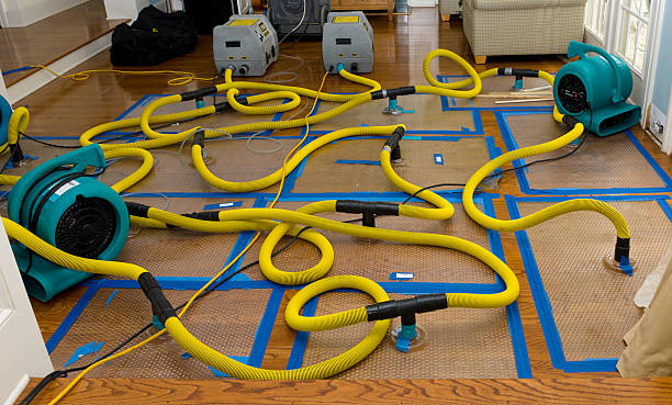 Professional Basement Flood Cleanup technician working in Elmira, CA